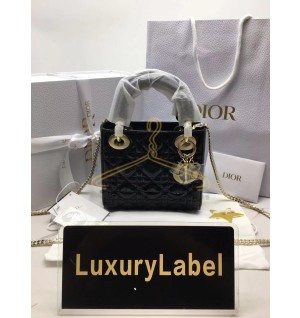 디올 레이디백 미니 (카프스킨)