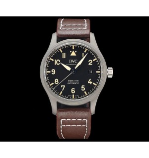 IWC 마크 XX 40mm
