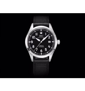IWC 마크 XX 40mm