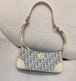 디올 30몽테인 원더 러스트백 [정품급]