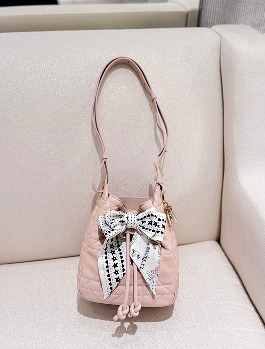 디올 D-MOTION 스몰 백 [정품급]