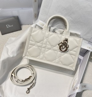 디올 북토트 미니 백 (컬러 화이트)