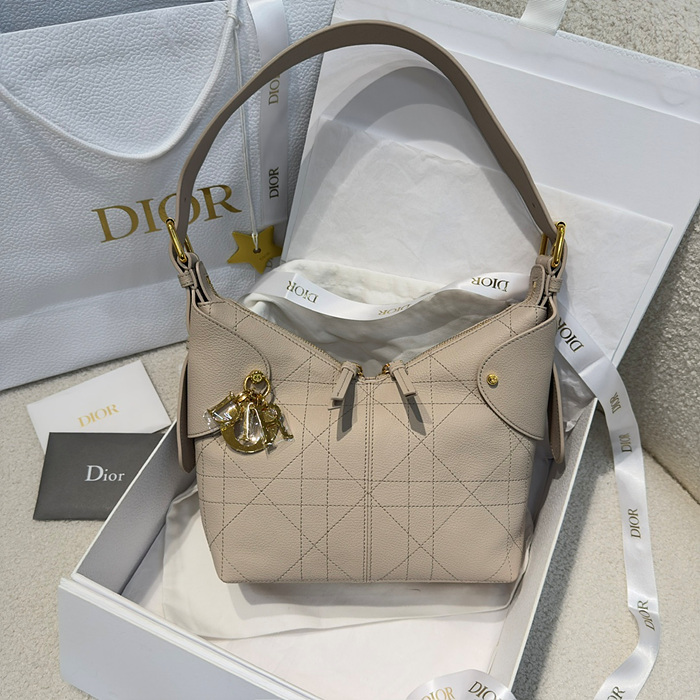 디올 보야지 voyage 스몰 백